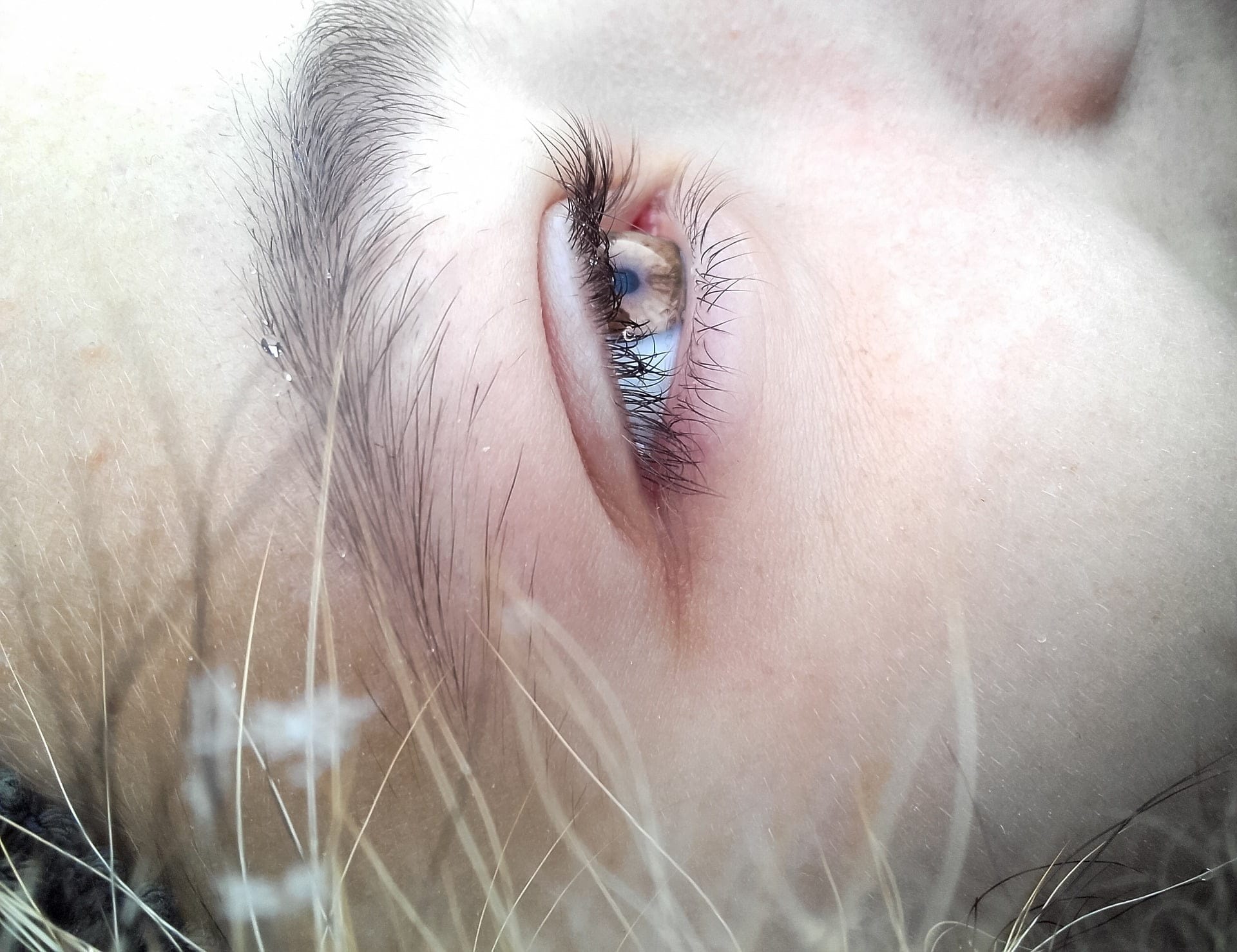 Augen